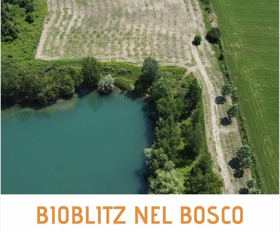 SAVE THE DATE_BIOBLITZ 15 & 16 Maggio all'Oasi di Viarolo (PR)