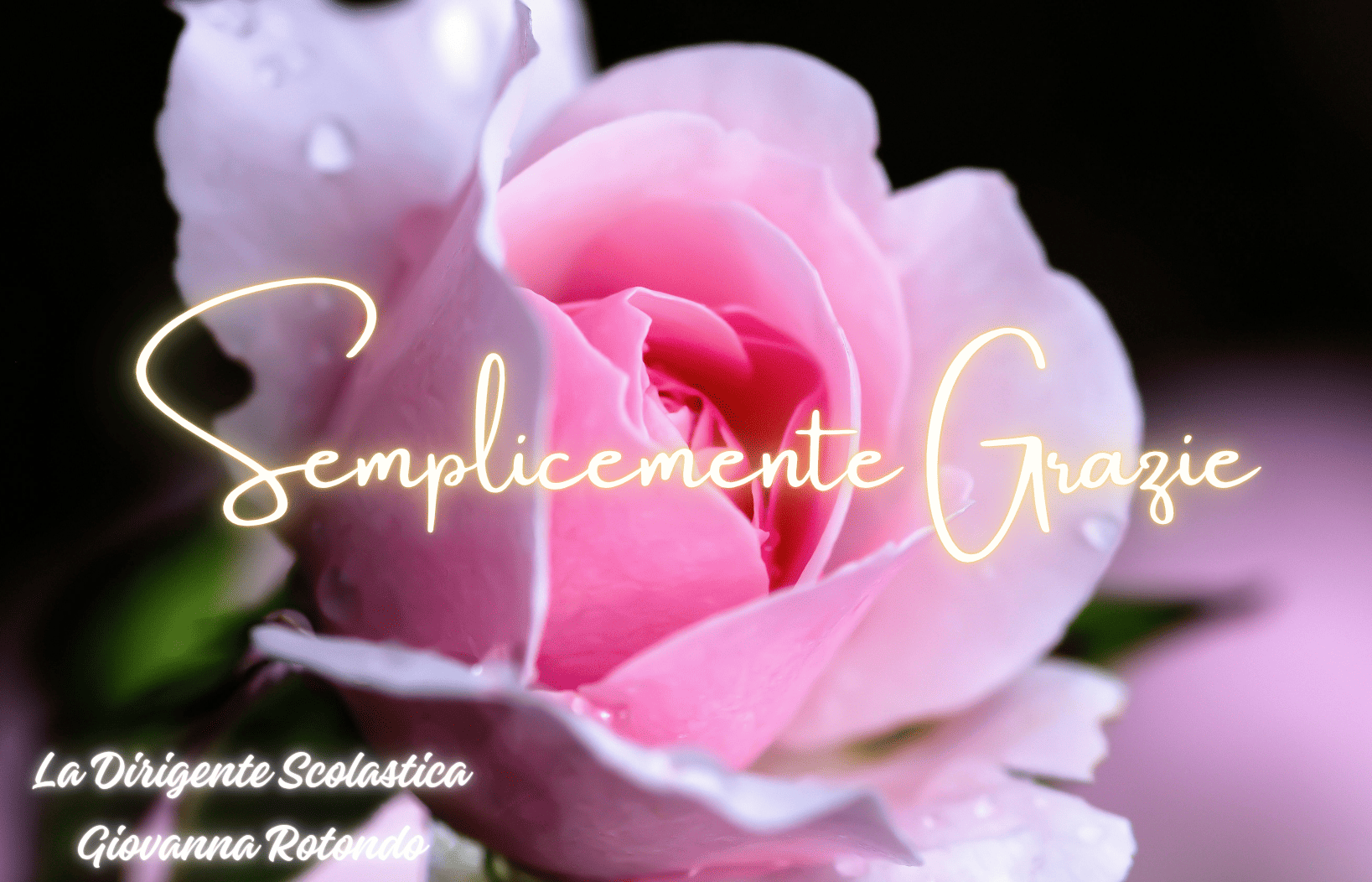 Semplicemente grazie‼️